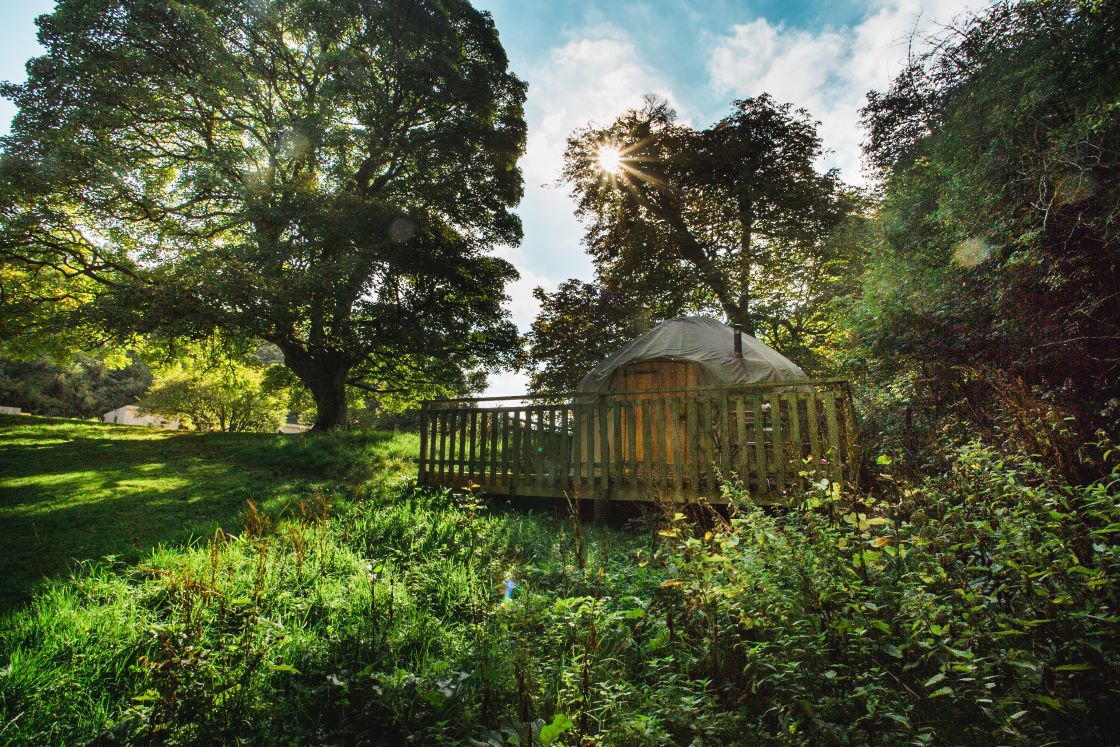 A luxury yurt nestled among trees at Rock Farm, Slane